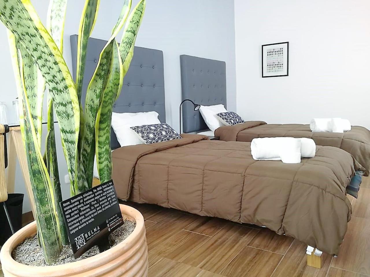 Belma Boutique Bed And Breakfast Lima Dış mekan fotoğraf